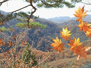 三星手机s10最新消息